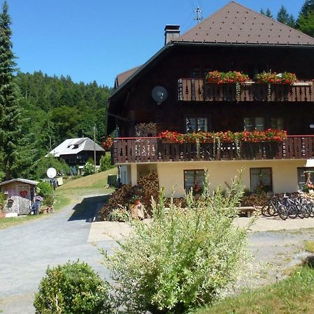 Haus Biehler Apartman Todtmoos Kültér fotó