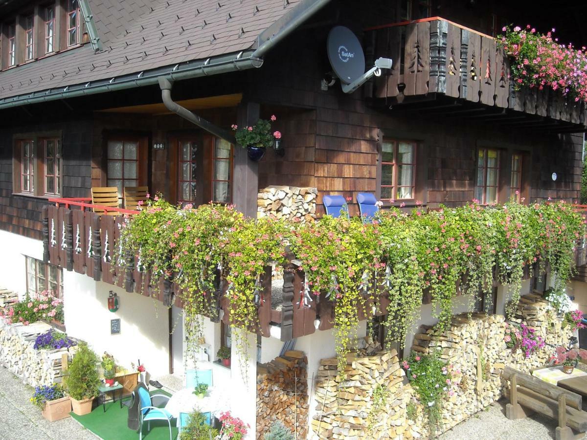 Haus Biehler Apartman Todtmoos Kültér fotó